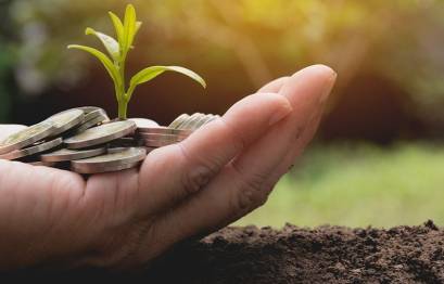 Geöffnete Hand mit Pflanze und Münzen darin